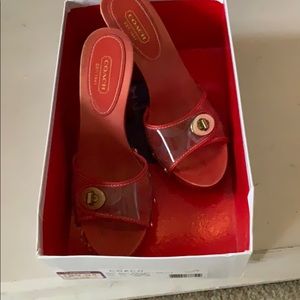 Clear Top Sandal w/Coach emblem and gold buckle